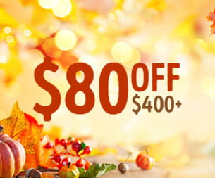 $80 off $400+